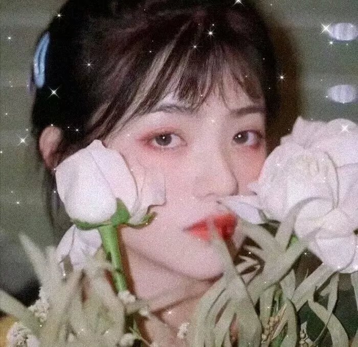 花落莺啼春